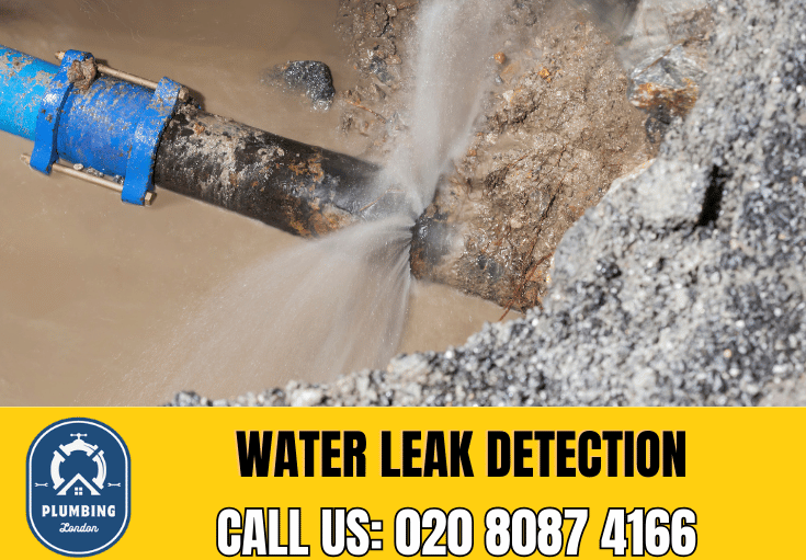 leak detection Swiss Cottages